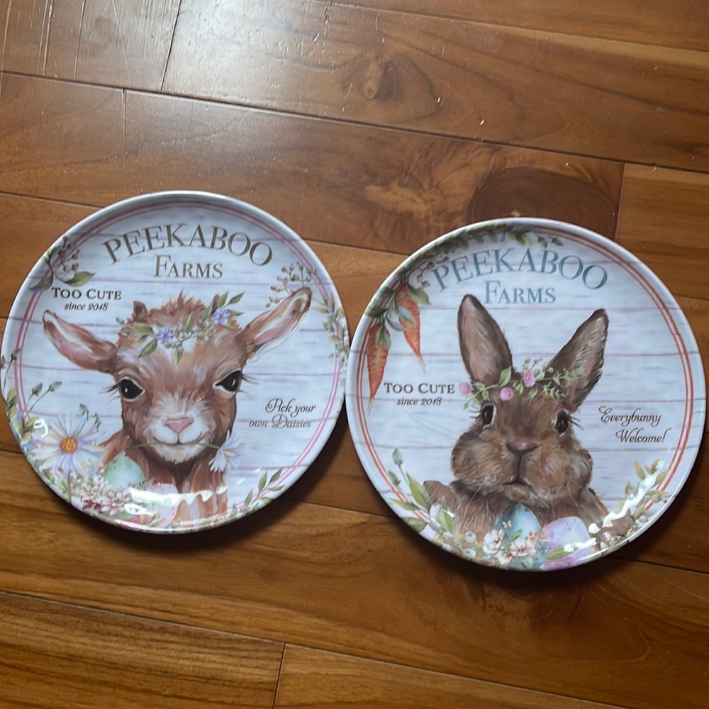 Melamine farmhouse plate set
